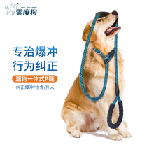 Dog P rope training professional large medium and young dogs walking the dog explosion-proof rushing rope pet supplies collar P-shaped chain