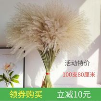  Natural reed dried flowers immortalized whisk bouquet Wedding decoration creative real flower arrangement Big spike floor-to-ceiling living room decoration