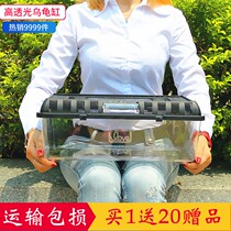 Hexagonal dragon special fish tank Dinosaur fish salamander pet amphibious feeding box Small turtle tank horned frog feeding box with lid