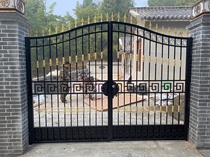 Iron Gate Villa door courtyard door outdoor double open iron door Chinese village door door garden door indoor
