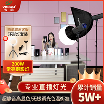 Live light 200W Studio Wei Si LED photography light fill light anchor always light wedding soft light