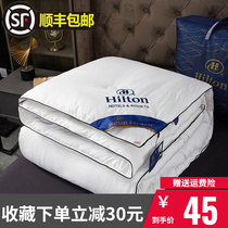 Hilton Hotel Silk Quilt 100 Mulberry Silk Quilt All Season Universal Air Conditioning Quilt Warm By the Core Winter Thickened