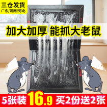 Pacesetter sticky mouse board Strong household mouse glue to increase and thicken the catch to catch the rat artifact to catch the mouse nest end