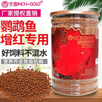 An inch of Gold Blood parrot red color enhancement feed red parrot fish tropical fish ornamental fish rich map fish fish food