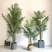 Simulation of anchovy sunflower Nordic large fake green plant scattered tailed sunflower potted shopping mall window famous room model room decorative ornaments