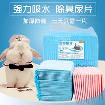 Rabbit diaper Totoro diaper cat cat dog diaper guinea pig Dutch pig diaper thickening waterproof deodorant pet supplies