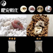 Alien Shougong delivery room incubation mat vermiculite perlite perlite climbing pet BAO WEN fat tail Mane lizard egg tray egg tray