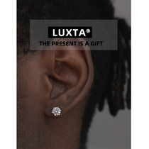 S925 silver Zircon Earrings sterling silver diamond stud Earrings for men and women hip hop hiphop Zircon