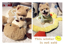 BeartoffyPet Pet Dog Kennel Dog Autumn Winter Cute Plush Animal Warm Thickening Carpet Mat