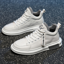 Tide brand White shoes mens shoes 2021 Autumn New Korean version of Joker high-top leather plus velvet board shoes casual sneakers