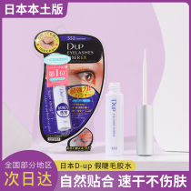 Japanese native version of DUP false eyelash glue 552 quick-drying transparent hypoallergenic strong stereotype durable Cosme Award