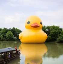 Customizable outdoor large inflatable water rhubarb duck large white goose closed gas model cartoon promotional model