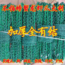 With shrimp cages Shrimp Nets Thickened Crab Cage Sea with Shrimp God-Catcher for Large Remain Lobster Network cultured fish and shrimp nets