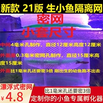 The new suspension oviparous fish medaka (Oryzias latipes) Zebra Immortal Fighting batfish Jinbo water flowers budgie reproduction mi wang