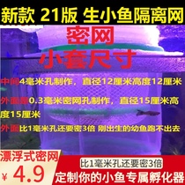 New suspended ovoviviparous fish Medaka zebra Fairy Douyan fish Golden Bozi water spray Budgerigar breeding dense net