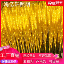 Solar wheat ear lamp Reed lamp Outdoor luminous ground plug lamp Garden park landscape lamp Engineering garden decorative lamp