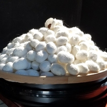 (Town Store Treasure) 7A Class Spring Double Palace Cocoon Silk Quilt 100% Mulberry Silk Spring Autumn Quilt by Core Winter