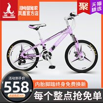 Phoenix brand mountain bike male bicycle female off-road speed bicycle double disc brake shock absorption Youth student car racing