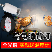 Turtle sun back lamp pet heating lamp turtle supplies sun lamp turtle sun lamp pet heating lamp uvb lamp