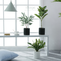 Mo Ge ins Nordic creative simulation plant decoration living room small potted ornaments home indoor fake green plant bonsai