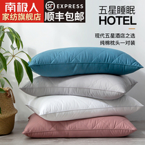 Antarctic pillow Single double hotel cervical spine pillow core Student dormitory whole head pair of household mens summer