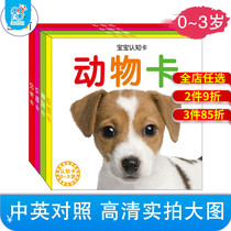 Hairun Sunshine Infant Early Education Enlightenment Cognitive Big Card Full 4 Boxes 0-1-3 Years Old Babies Look at Pictures and Identify Objects Visual Stimulation