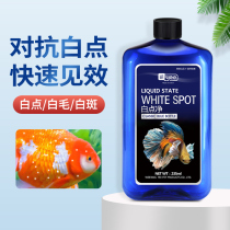 Fish medicine white point Net disease treatment of koi parrot ornamental fish water mold white spot disease small melon worm special water medicine