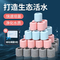 yee fish tank filter material Ceramic ring Bacteria house water purification Nano culture bacteria ring Aquarium Rubiks cube Quartz ball filter material