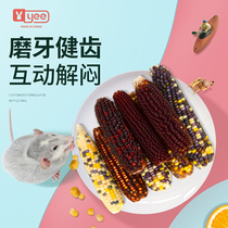 Hamster molars Mini corn Golden Bear snacks Chinchilla Guinea pig Rabbit Nutritious food Toys supplies