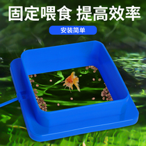Fish food feeding ring fish feeding ring fish feeding ring fish feeding ring aquarium floating feed floating feeding ring with suction cup