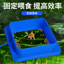 Fish feed Feeding circle Fish Feeding circle Fish feeding circle Aquarium drift feed Floating feeding circle with suction cup