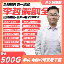 2022 Li Philosophical Anatomical Video Course Full Set Postpartum Function Repair Teaching Materials Muscle Chain Osteopelvic Stabilization