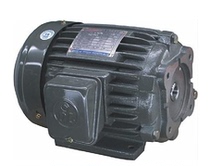 DL Deceleration motor DONGLING motor DOLIN motor DOLIN motor AEEF-5HP-3 7KW