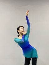 Dance Dance Classical Dance Course Female Serment Floating and Sleeve Closed Sleeve Clothing