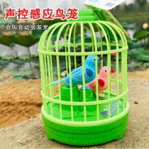 Xinjiang childrens electric touch-sensing pet toy simulation-controlled sensing bird cage luminous dynamic small bird parrot