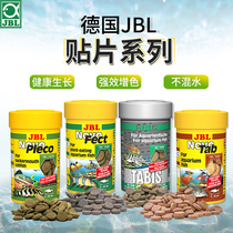 Germany JBL imported fish food patch feed Tropical fish lamp fish Peacock vegetarian rat-eating fish special-shaped benthic