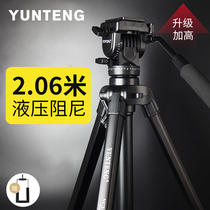 Cloud Teng 999 tripod single counter camera hydraulic damping applicable Canon 80d Nikon d7100 Sony a7 Photography ultra high 2 m tripod head DV video camera phone photo holder