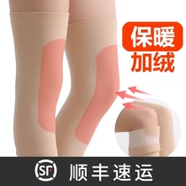 Knee pads womens summer thin section seamless air conditioning room paint old cold legs knee joints mens knee pads joint cover to keep warm
