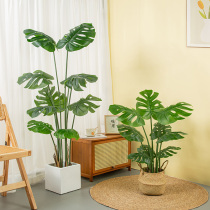 Nordic ins simulation turtle back leaf bamboo large indoor living room floor-to-ceiling home landscaping potted green plant decoration ornaments