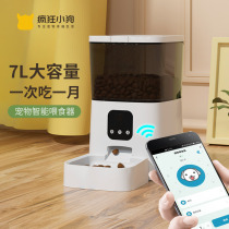 Automatic feeder Cat and puppy intelligent timing quantitative pet feeding machine Large capacity cat food automatic feeding artifact