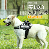 Dog traction rope Chest strap Golden Retriever Labrador Medium and large dog walking chain Anti-impact vest dog rope