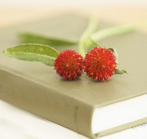 Liu Nians Splendid Cross-stitch