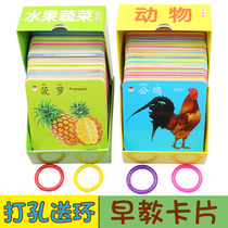 Infants and young children early education cognitive cards picture cards baby color pictures digital literacy animal toys
