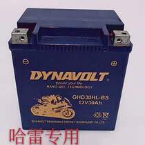 Spring breeze ATV 550 X8 X6 Z6Z8 United States Harley Road King gliding 12V30A battery original export