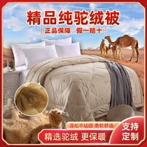 Pure camel suede quilt with antibacterial warmth 100% camel hair quilt core thickened fluffy autumn winter single bigamy is set to be made