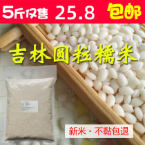 Northeast farmer Jiang rice sticky rice dumplings rice round grain glutinous rice 5 kg 2 5kg wine rice coarse grains