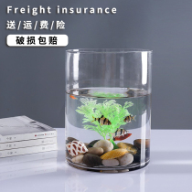 Goldfish tank glass aquarium small creative ecological round cylindrical large turtle tank landscape decoration