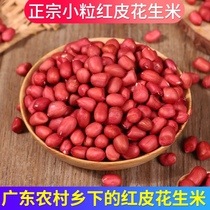 Guangdong red-skinned peanut farmhouse small grain fresh four red red peanut bulk peanut kernel new goods