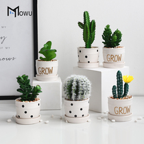 Nordic creative simulation plant fleshy small potted living room cactus decoration bonsai fake flower porch green plant ornaments