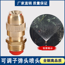 All copper 4-point adjustable bullet Atomization Nozzle garden gardening sprinkler roof spray cooling site dust removal